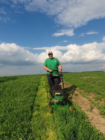 Pflonz a gfü - Landjugendwelt am Ackerfeld